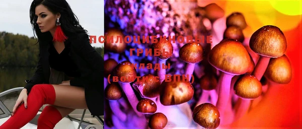 спиды Нея