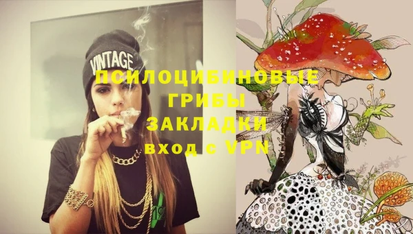 спиды Нея