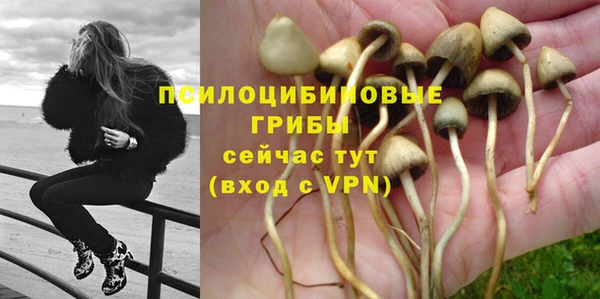 прущая мука Новодвинск