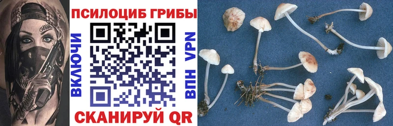Галлюциногенные грибы Magic Shrooms  где купить наркоту  Новомичуринск 