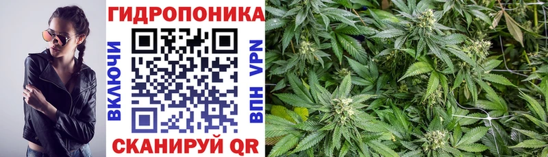OMG ссылка  где продают наркотики  Новомичуринск  МАРИХУАНА MAZAR 